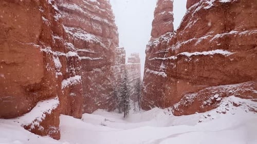 A Stunning Snowcovered Canyon Awaits you in an Enchanting Winter Wonderland Adventure