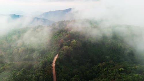 drone above mountain road path with foggy mist clouds in to the forest , path less traveled wilderne