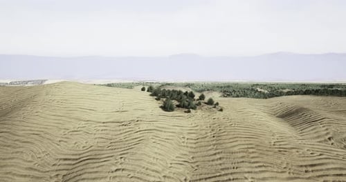 Sweeping Aerial View of Desert Dunes and Lush Green Oasis