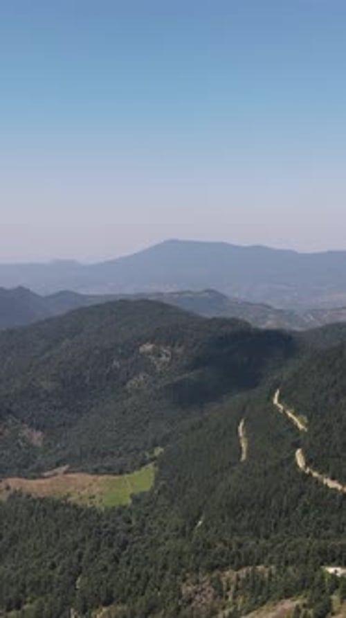 Zumbido aéreo: Mountian Forest