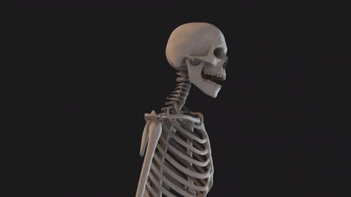 Skeleton Stood Idle Loop 02