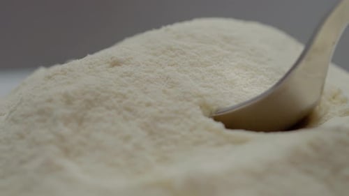 Close up of spoon filling with powdered milk captures smooth texture and color