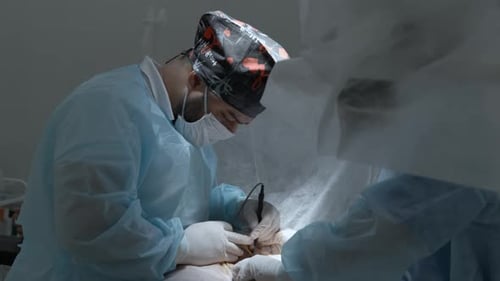 Team of doctors and surgeons processing surgical operation in operating room