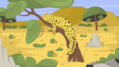 Sleeping leopard on tree in african savanna 2D cartoon animation