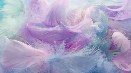 Closeup view of colorful feathers swaying in wind