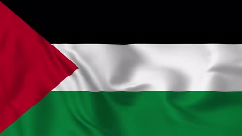 Palestinian Flag Seamlessly Waving Loop Animation