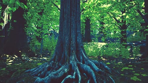 A Majestic Tree with Exposed Roots in a Vibrant Forest