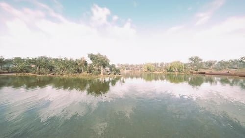 Beautiful Colorful Summer Spring Natural Landscape with a Lake in Park