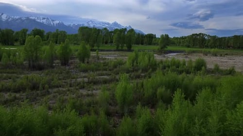 Drone View Cars Driving Above Active