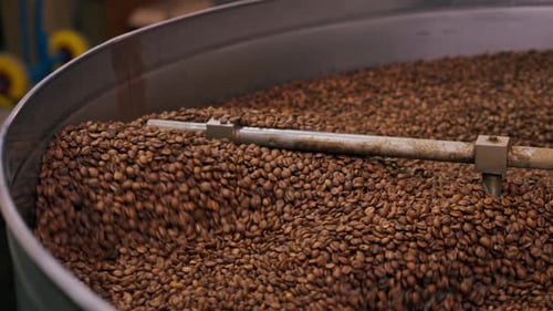 Closeup of a Coffee Roasting Factory Inside Drum Roasting Stirring Coffee