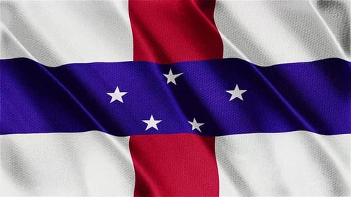 Seamless Looping Waving Flag Animation with Fabric Texture