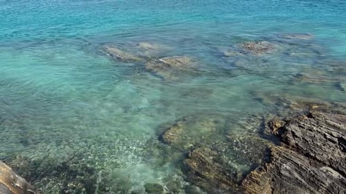 Tilt up reveals an amazing paradisiacal scenery on sea coast with clear turquoise water