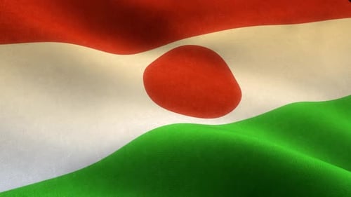 Waving National Flag of Niger