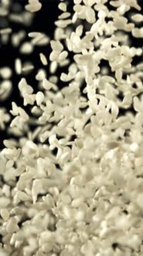 Sesame Seeds Fly Up and Fall Down