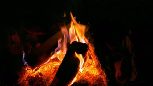 Cam Fire