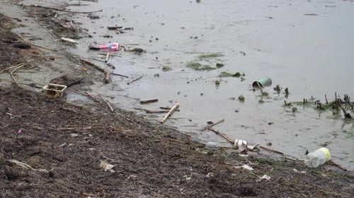 Plastic trash and rotten rubbish on river bank, environment pollution - water pollution industrial f