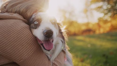 A Woman Gently Hugs Her Beloved Dog