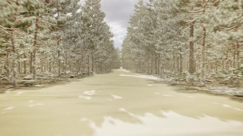 Snowy Winter Forest Road Background