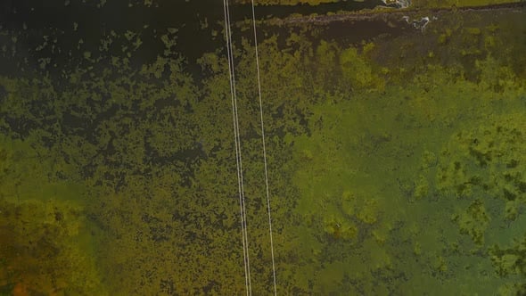 A Brown Rectangular Forest Landscape with Trees and Grassland, Nature ...