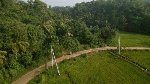 Aerial of Couple Ride on Motorbike on Road Along Rice Field Plantation Drone Shot of Man Woman