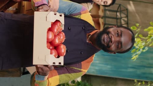 Vertical Video Man Stand Holder Presenting Box Filled with Raw Tomatoes