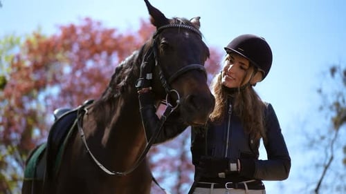 Live Camera Panning Around Happy Purebred Horse and Smiling Woman Caressing Face Kissing Pet