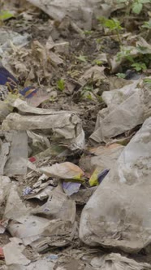 Plastic Waste And Litter Polluting Forest Ground Soil Vertical Video
