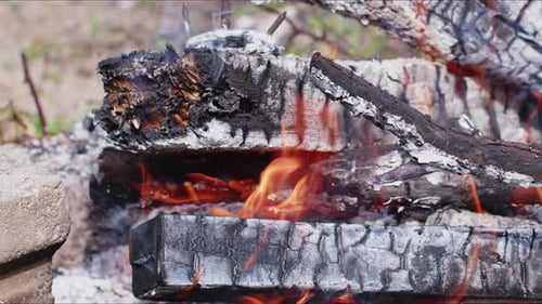 Abstract Oak Wood Bonfire In Flames Smoke And Ashes 32