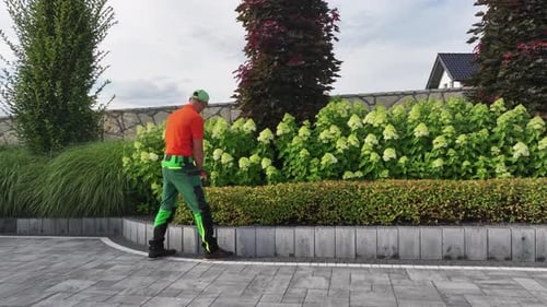 Gardener Trimming Bushes in a Landscaped Garden on a Sunny Afternoon