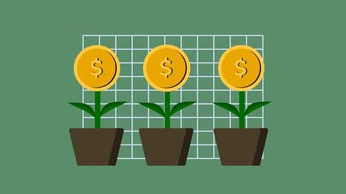 Flat Design Money Plants Growth Animation