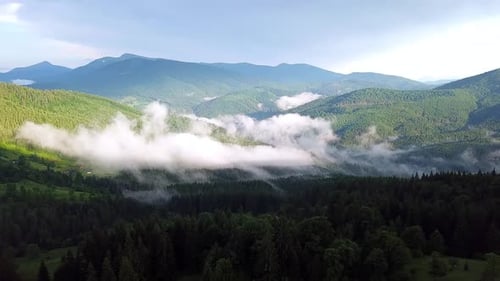 Morning Fog Covered The Hills Of The Carpathian Mountains.