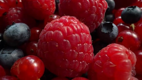Assorted Fresh Red and Blue Berries Close Up