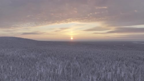 Aerial drone view of the toundra in the Urho Kekkonen Park in Finland
