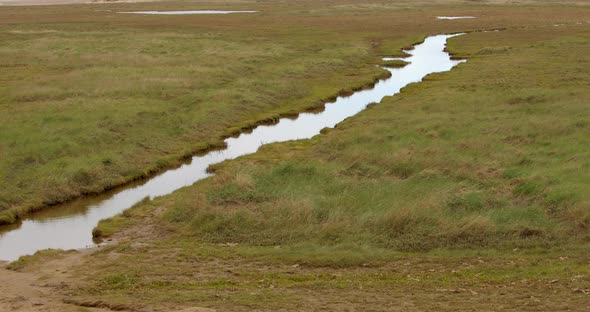 Wide shot of Tidal inlet stream on at mud flats Saltfleet, Louth ...