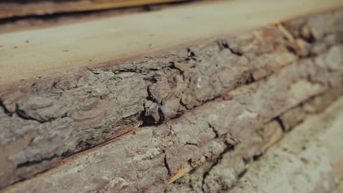 Wood Factory Stock and Lumber Board with Nature Business Export the Camera Moves Forward Slow Motion