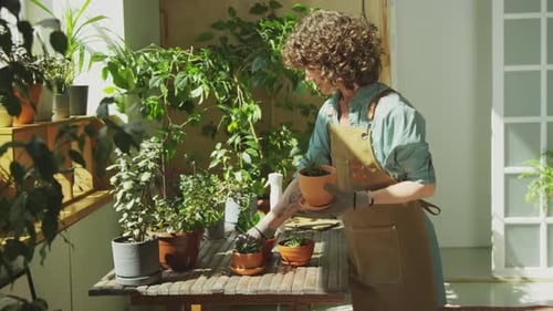 Woman Sprays and Arranges Potted Plants in Sunroom