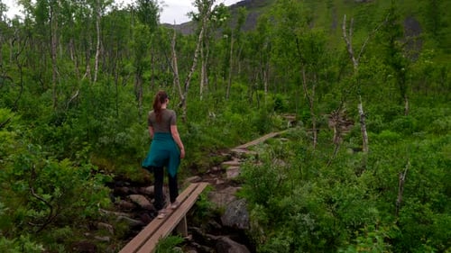 Woman Hikes Through Lush Forested Landscape