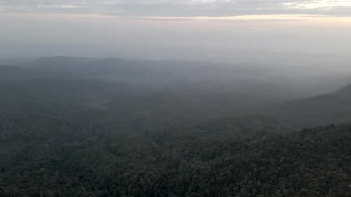 Nebelwald inmitten der Berge in Nordthailand.