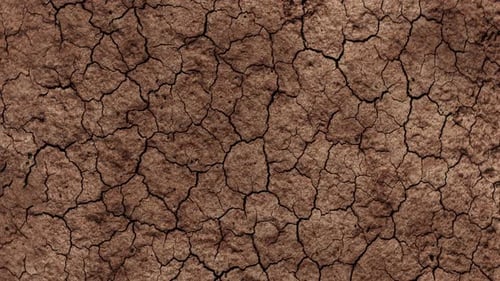 Cracked Earth: A Stark Visual of Arid Landscape