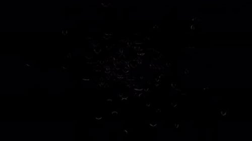 Realistic Flying Bat Swarm Halloween Transition