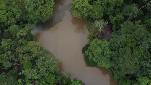 Fluss im tropischen, grünen Amazonas-Regenwald, 4K-Luftaufnahme