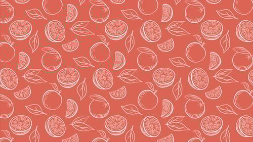 Seamless Sketchy Orange Fruit Pattern Background Loop