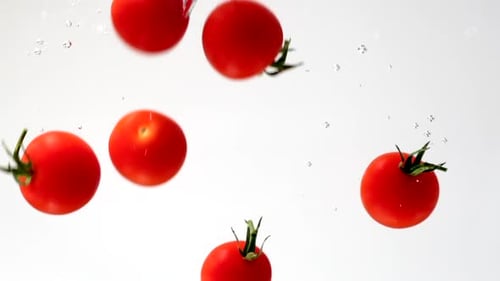 Red Cherry Tomatoes Falling into Water