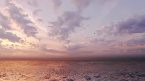 Unberührte Sonnenuntergänge und Vögel am Meer