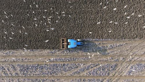 Der Traktor pflügt ein Feld und bereitet den Boden vor, Ansicht von oben.