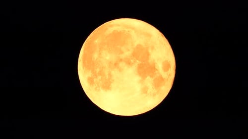 Close Up of the Orange Full Moon at Night