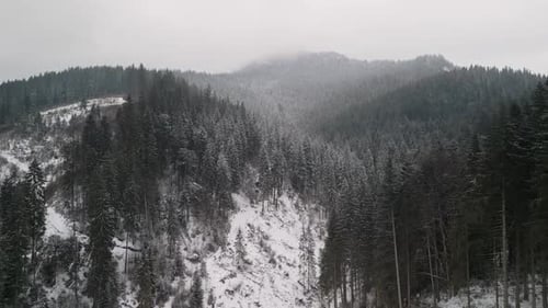 A Stunning Snowy Winter Landscape Featuring a Dense Forest Surrounded By Misty Mountains
