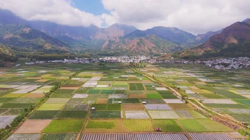 Aerial View of Farmland with Distant Village and Mosque in Lombok