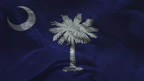 Realistic Waving South Carolina State Flag Animation