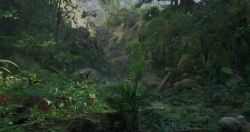 Lush Tropical Landscape with Vibrant Plant Life in a Serene Forest Setting